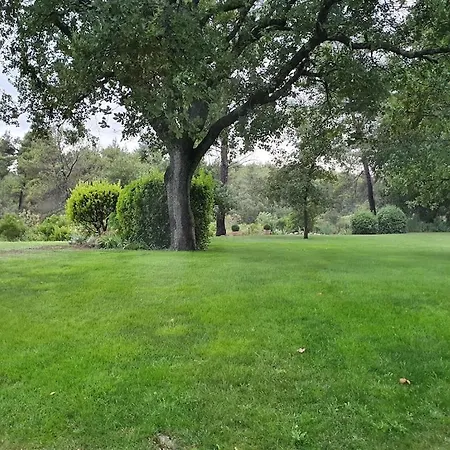Lou Pantai, House, 5 Bedrooms 8 Persons, Pool, Large Garden, 4km From Aix En Provence